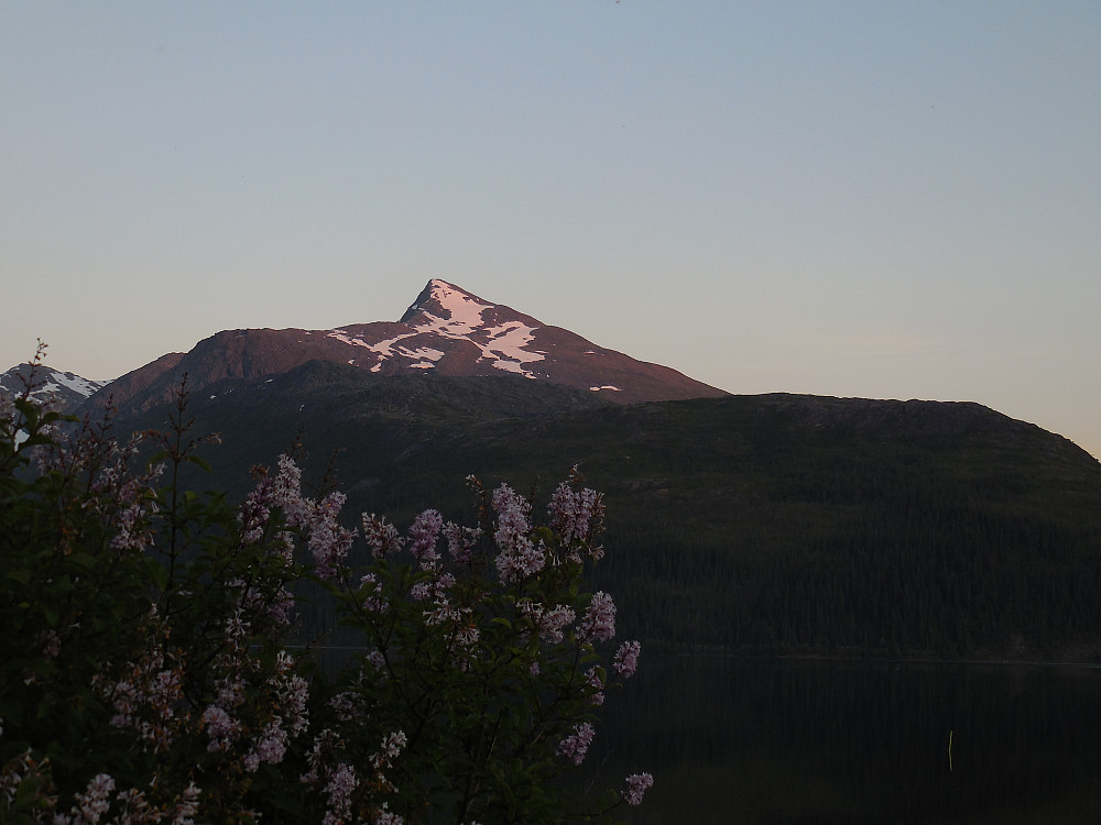 Lukttinden, et flott fjell! Her fra Osen Camping ved Luktvatnet.