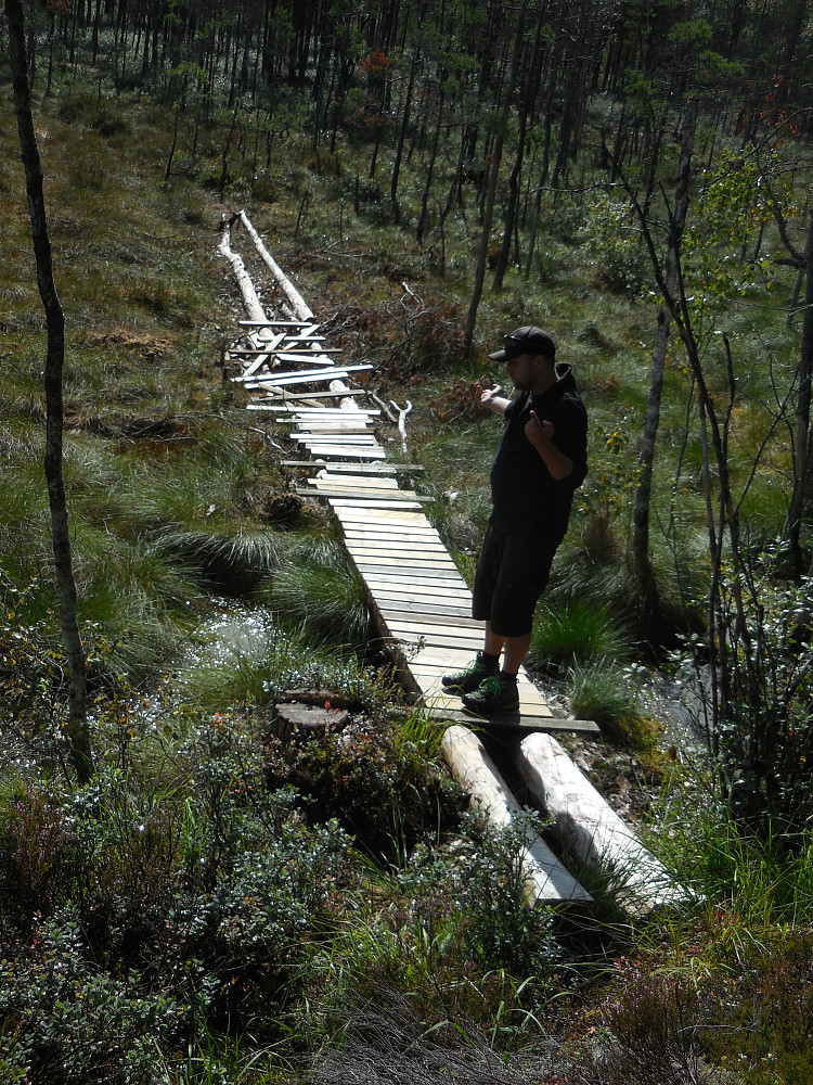 Kommer man til denne uferdige kloppen over myra sør for Vetretjern har man gått feil! Stien inn til Danserfjella tar av ca. 100 m lenger syd.