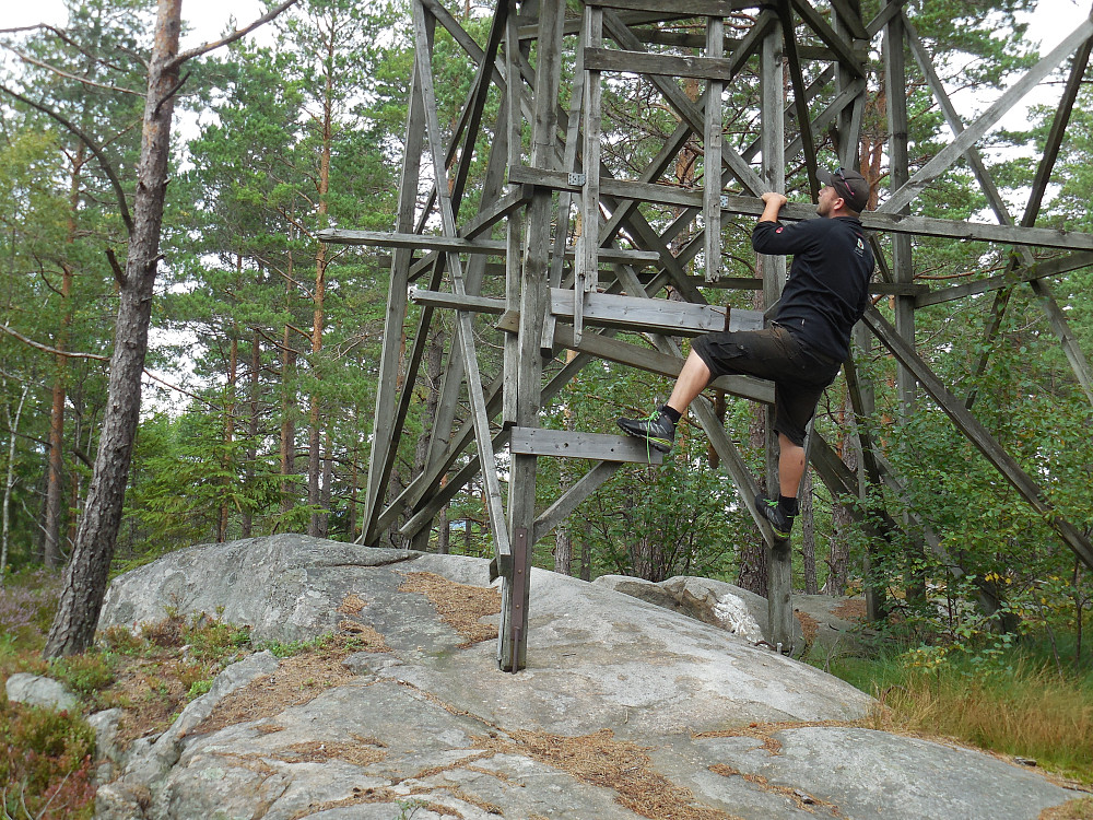 Tommy prøver å komme seg opp i det falleferdige tårnet på Stikkaåsen, 149 moh.