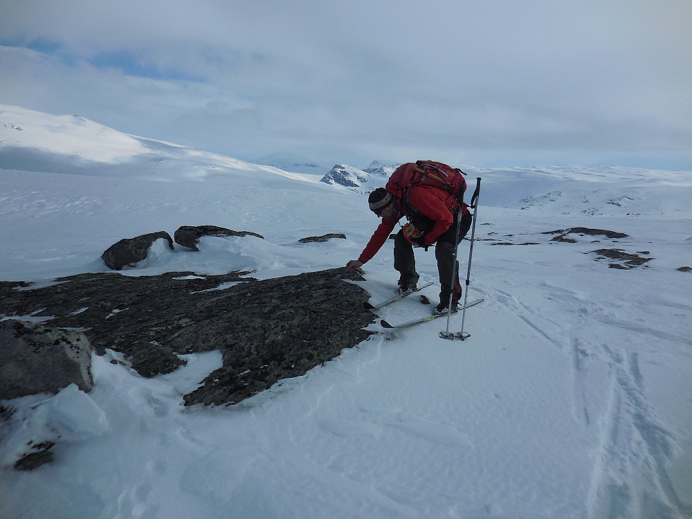 Seigmenn + en seig mann på toppen av Veslefjell, 1431 moh. Den spisse toppen med lite snø i bakgrunnen er Tordskyrkja, turens siste topp.