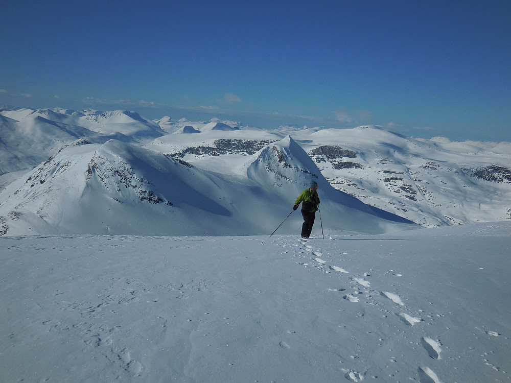 Morten på Tordsnose. I bakgrunnen ser vi Naushornets to topper og bak disse igjen Høgstolen med sin snøfrie sørvestvegg.