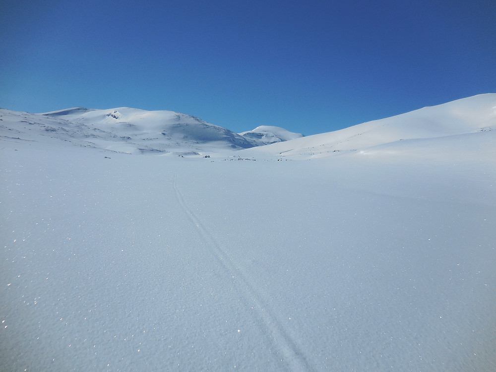 Følger gamle skispor innover Søre Dalen. Mot Kjelkehøene og Digerkampen.