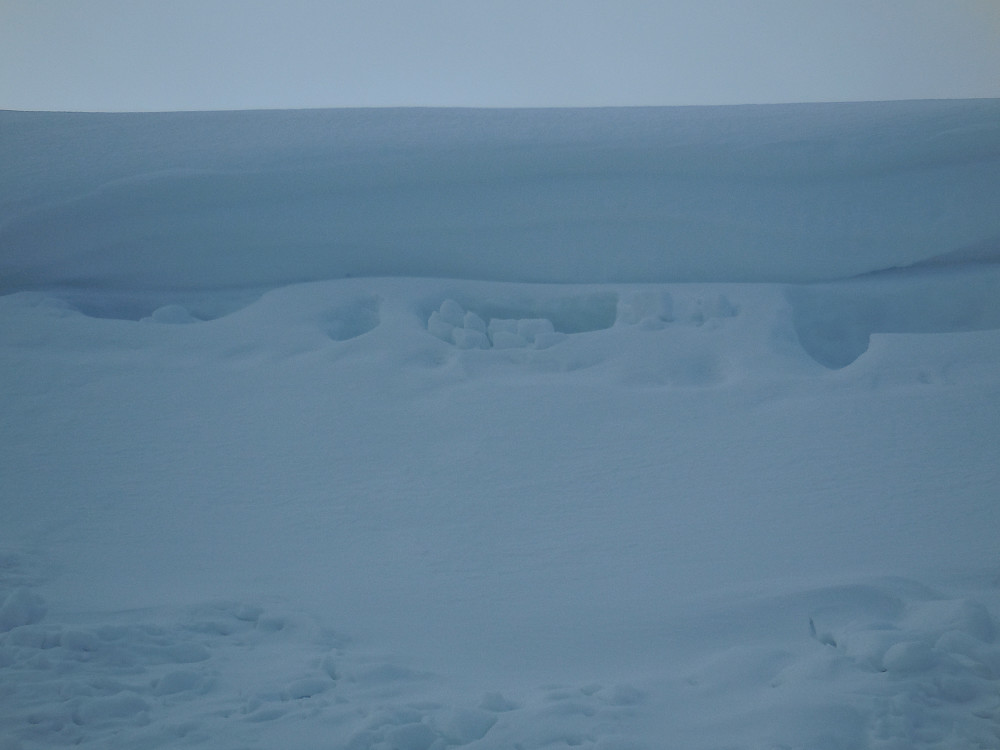 Noen har bygd en hel snøhulelandsby oppunder snøskavlen i sørsida på bekkedalen.