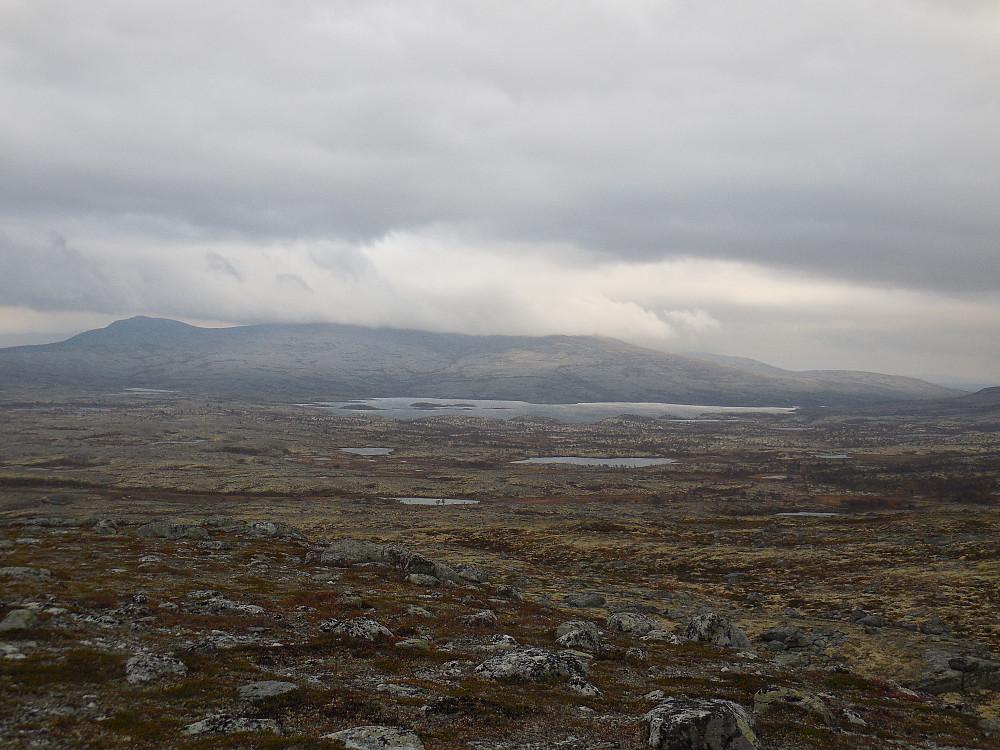 Fra Steinfjellet og inn i Flensmarka naturreservat.