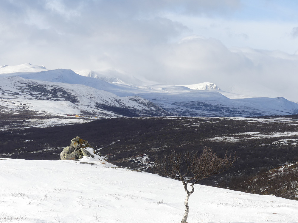 Fra Hovdun, 1120 moh. mot Skredahøin.