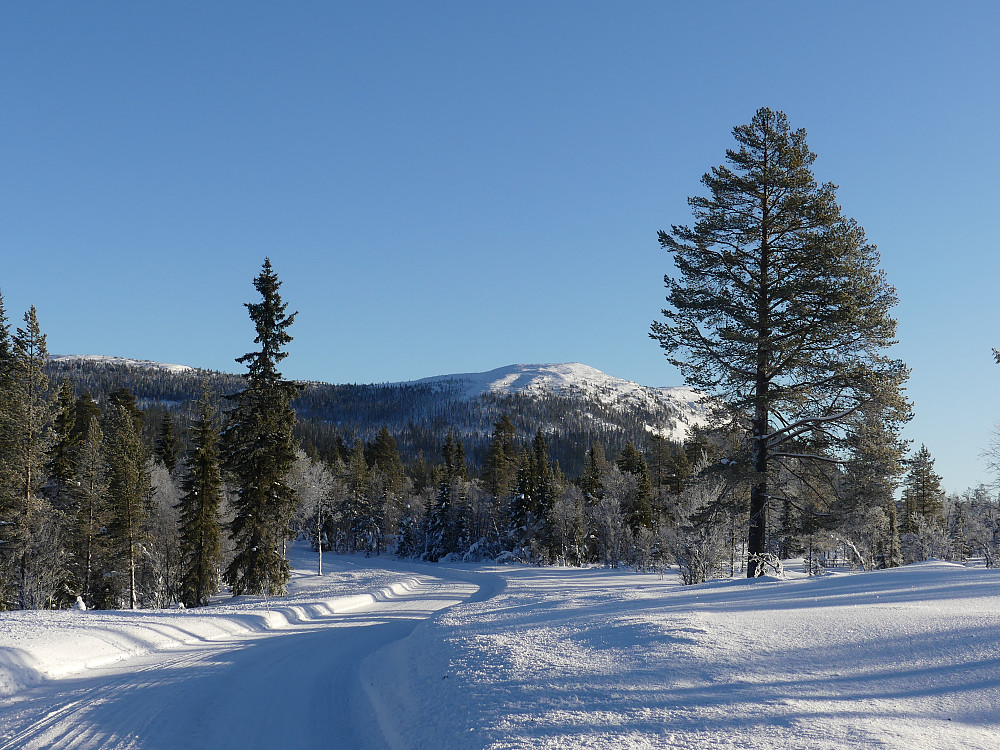 Store Byringen fra Storkjølen i vest. Den lille toppen til venstre er Nord for Store Byringen.