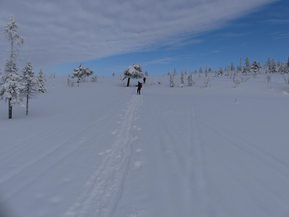 Opp mot snaufjellet.