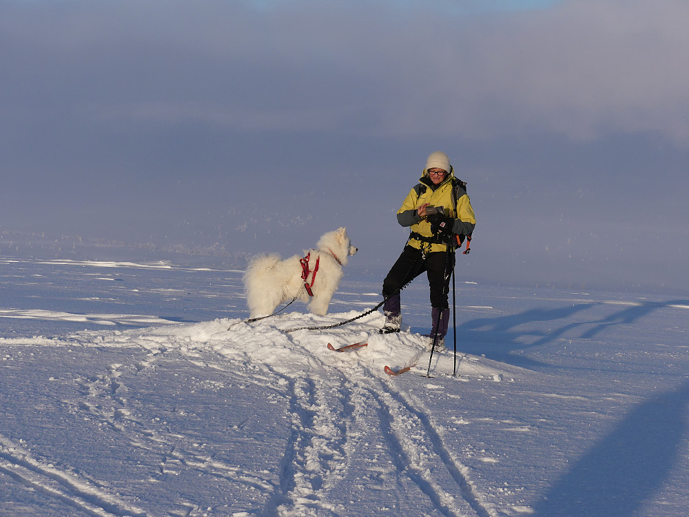 På toppen av Raudfjellet, 1010 moh.