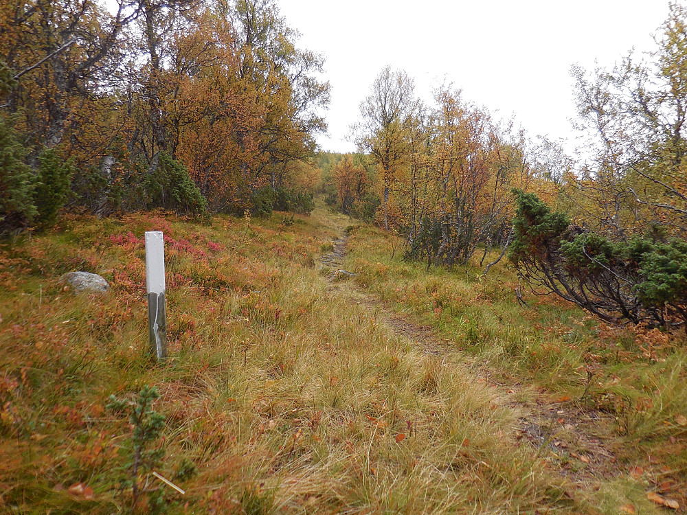 Jeg følger denne godt merkede stien opp Vassendlia. Ifølge kartet mitt skal den gå helt opp, men den blir mer og mer utydelig og forsvinner helt ved 1400-meters høyde.