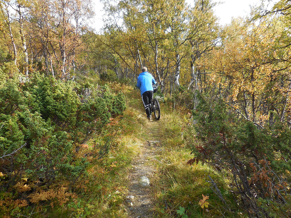 På vei ned igjen møter jeg denne stisyklisten som har som mål å sykle fra Gilafjellet og helt ned til Vang sentrum. Han skal visstnok være den første som gjør dette.