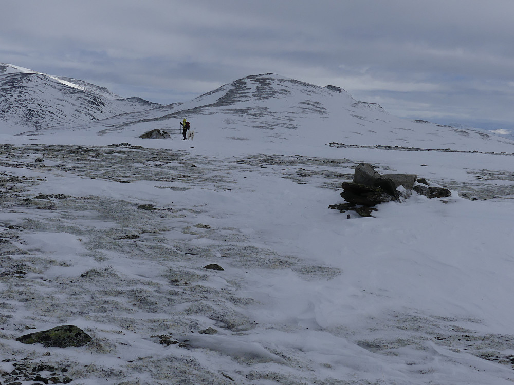 På Rundhøe, 1336 moh. og mot Knarthøe.