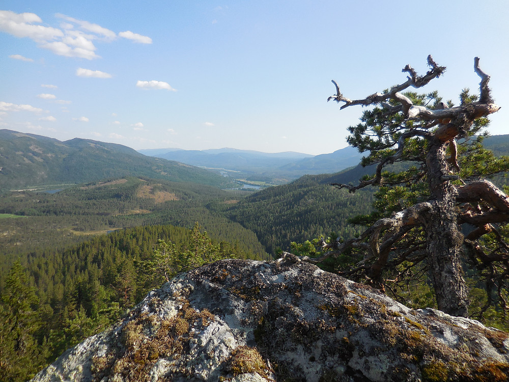 Utsikt fra toppen og sørover Stor-Elvdalen.