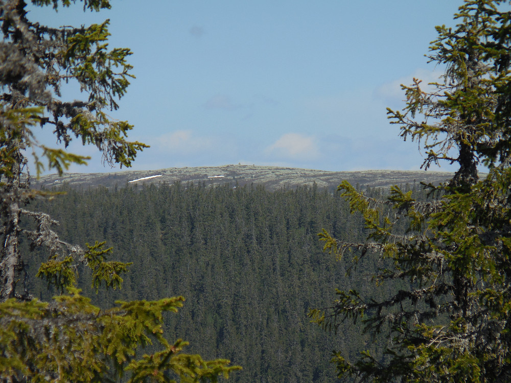 Fra Knøsen med Gråfjellet , 1009 moh., i nordøst.