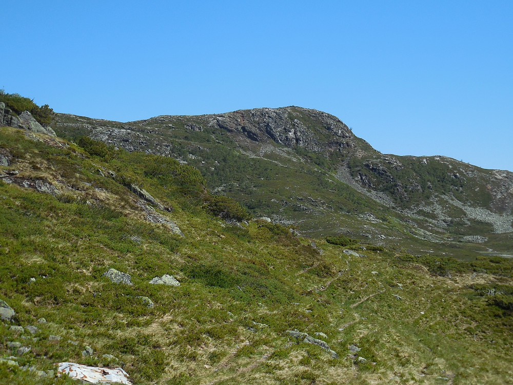 Raudhorn fra sørvest.
