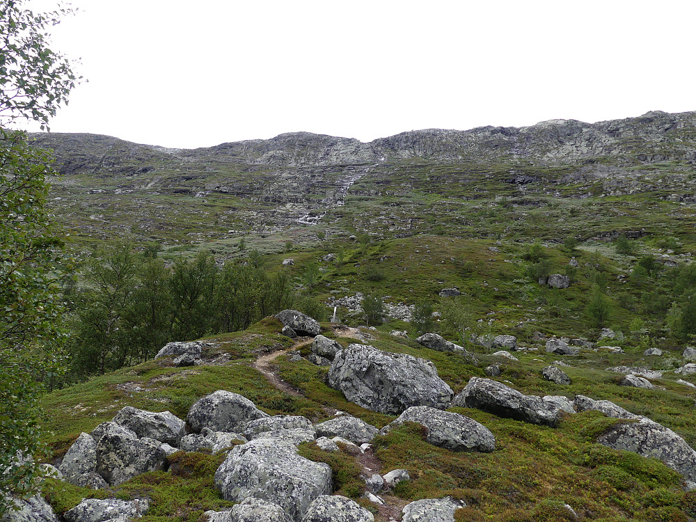 Ruta opp fra Sanddalen følger høyre side av bekken til ca. 1200 moh., og så videre draget ut til venstre.