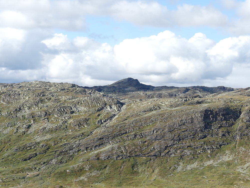 Med Svarteknippa i nord.
