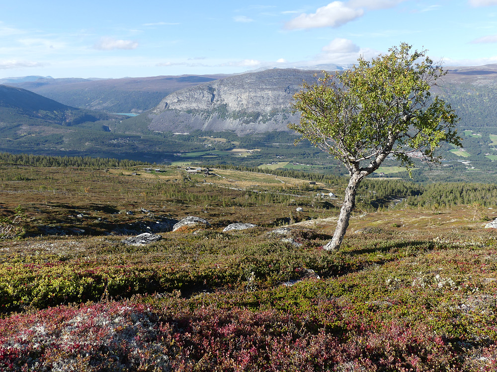 Snart nede ved Skjellom igjen.