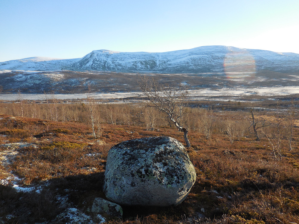 Mot Blåberget og Blåhøe.
