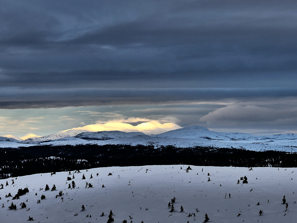Rendalssølen i nord.