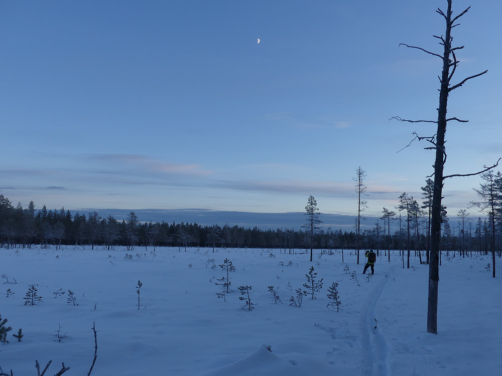 Retur etter gammel løpe over Langmyra.
