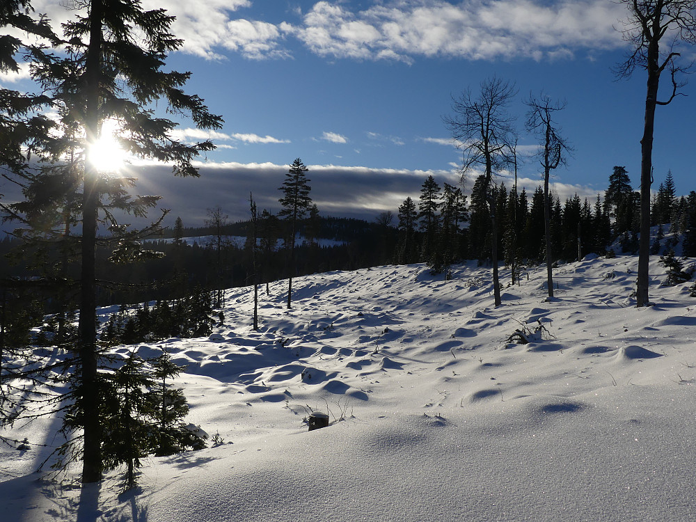 Mot Fuglåsen.