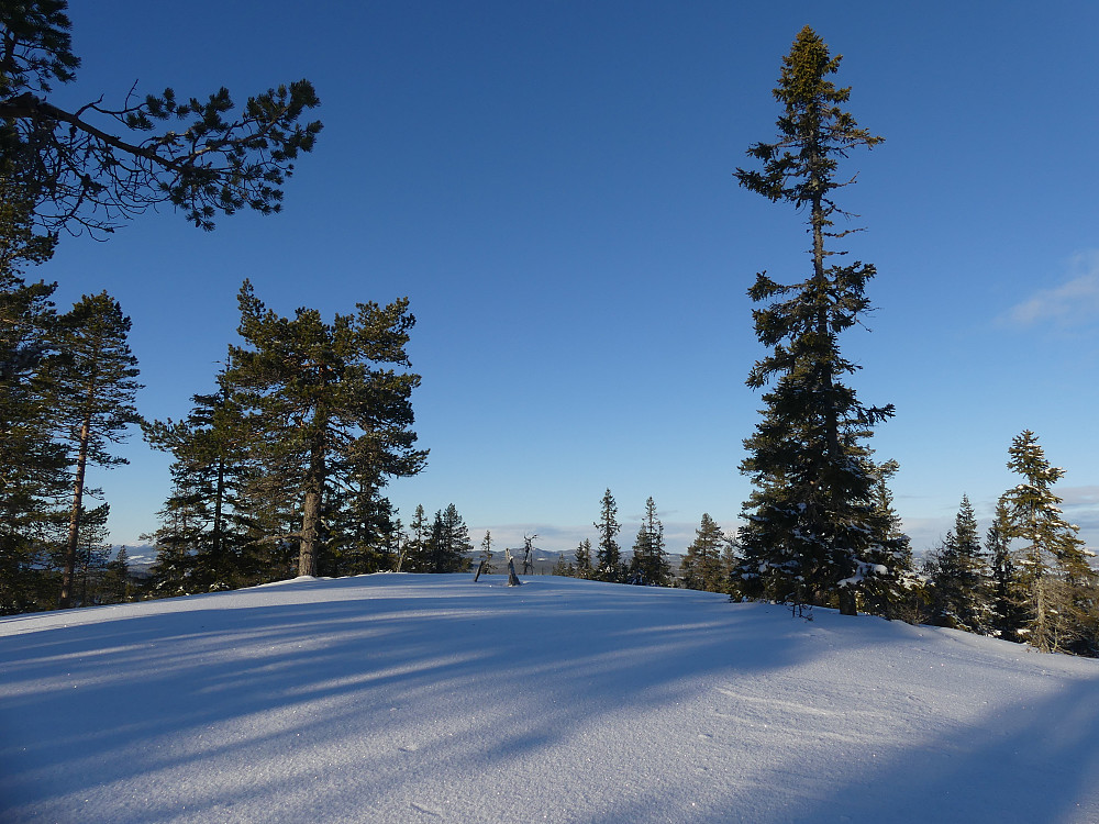 På toppen av "Nye Kloppåsen", 725 moh.