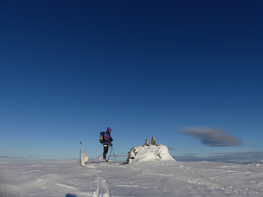 Anton og Arne på Steinfjellet, 983 moh.