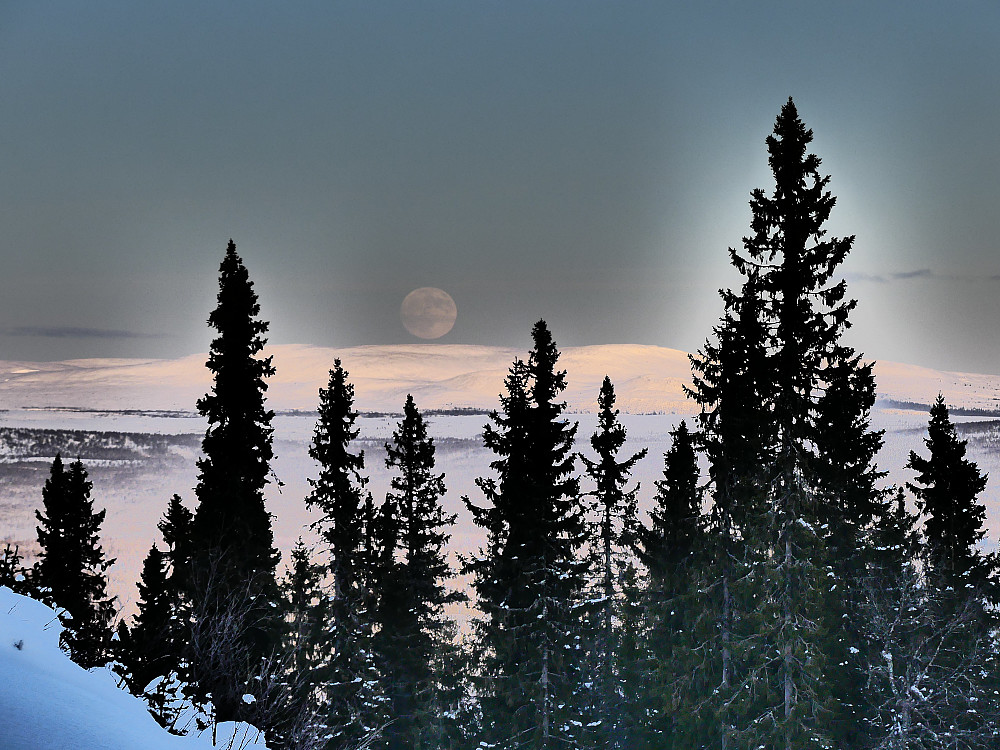 Fullmåne over Eltdalsfjella.