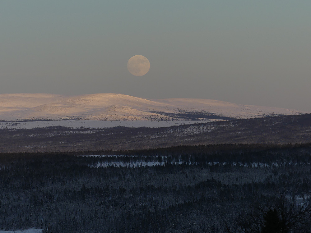 Fullmåne over Eltdalsfjella.