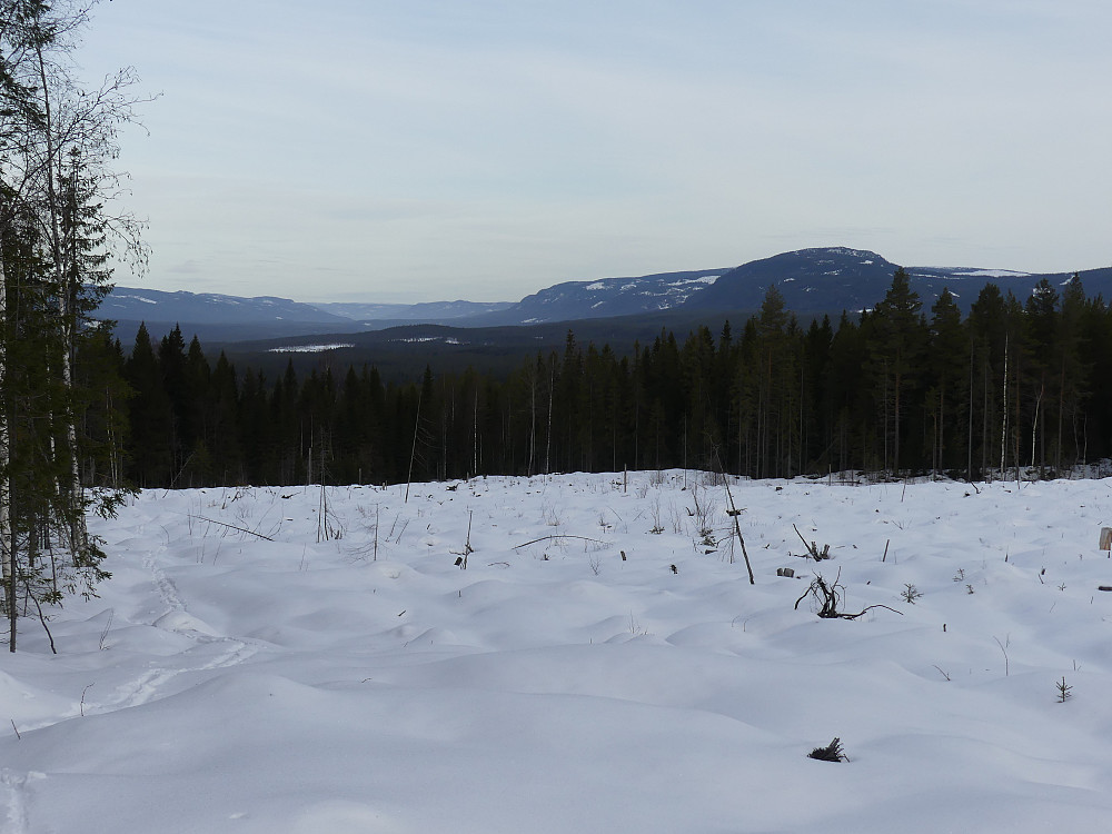 Fra start med utsikt nordover mot Storsjøen og Rendalen. Deifjellet nærmest til høyre.