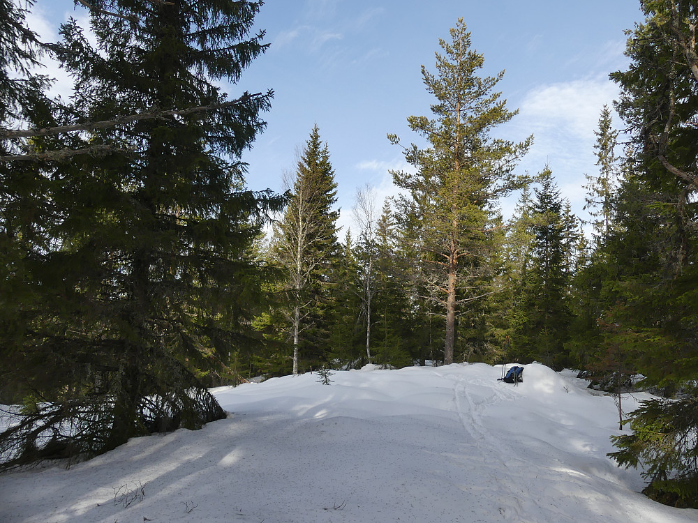 På toppen av Svarttjennsåsen, 580 moh.