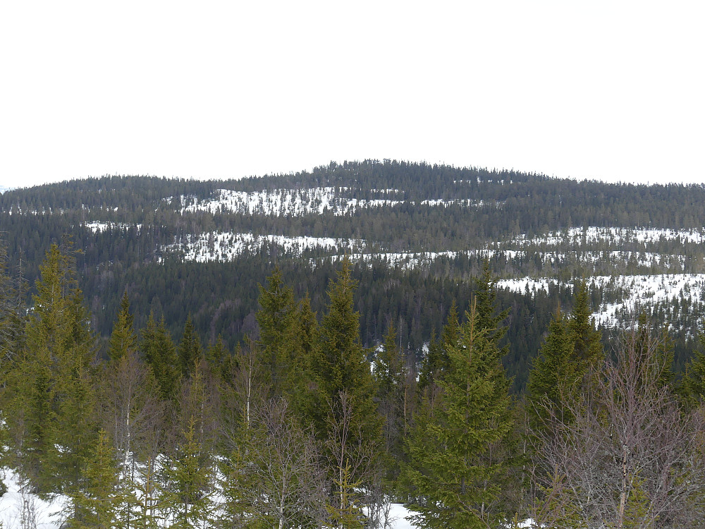 Venberget sett fra Vesteråsen.