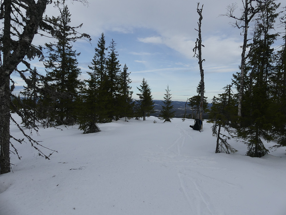 Sørvest for Vesteråsen, 591 moh.