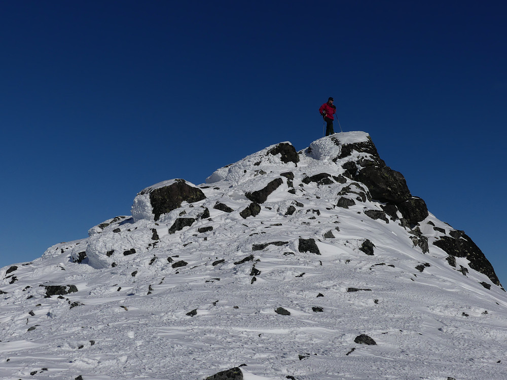 Morten er på toppen, 1800 moh.