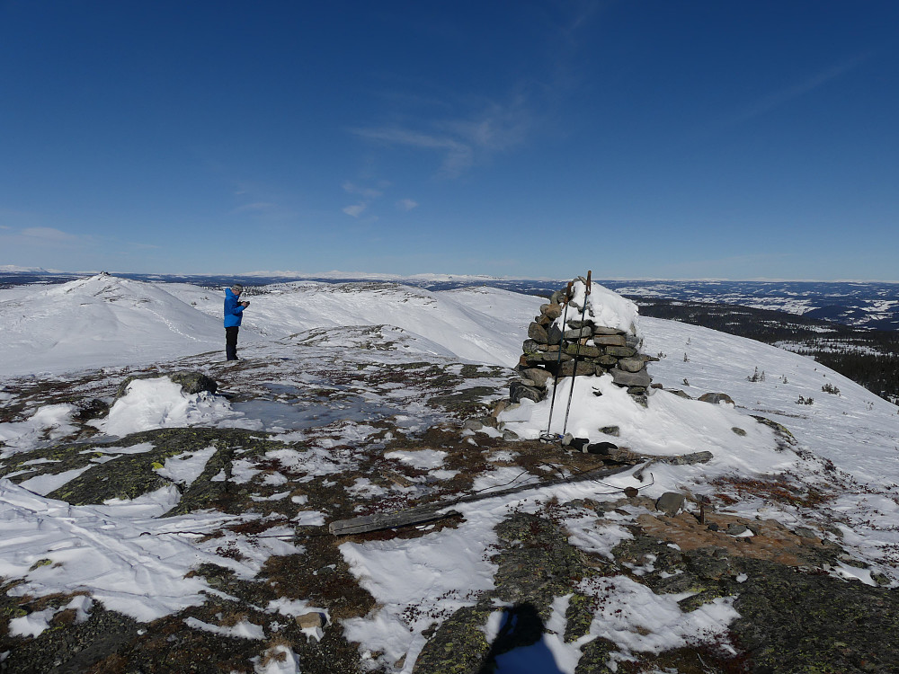 Myssmørhelje, 1070 moh.