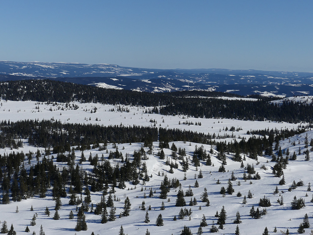 Østover fra Gammelhans og langs kommunegrensa mellom Gausdal (til venstre) og Lillehammer (til høyre for glenna.)