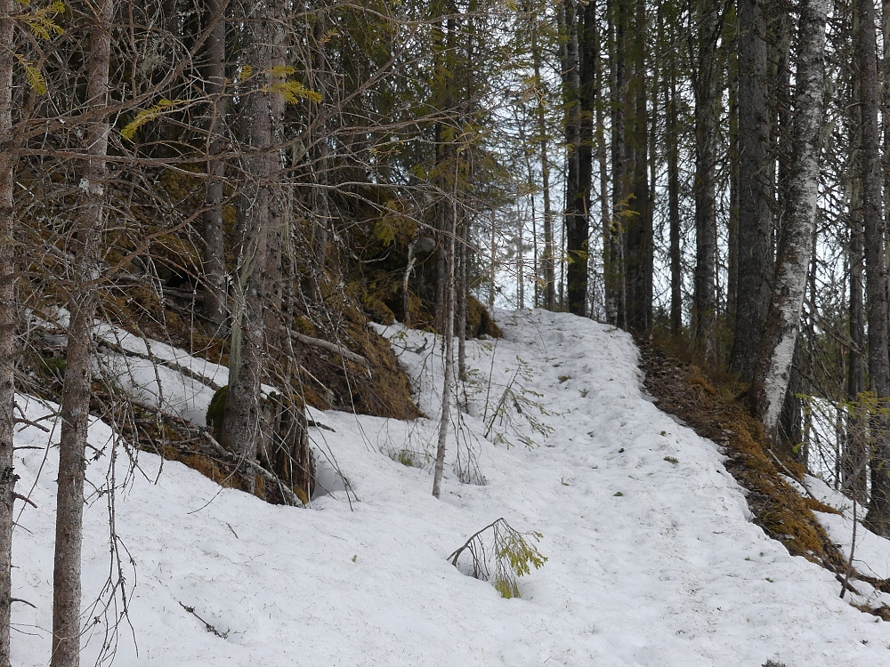 Stien opp til Fjellvollen begynner å tine frem.