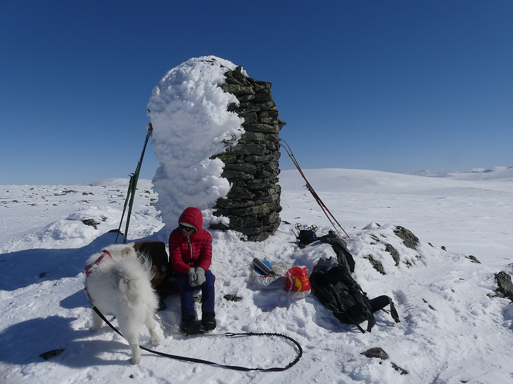 Rast i ly av varden. Høyeste punkt på Blåhøe, 1641 moh. ligger ca. 120 m lenger NØ.