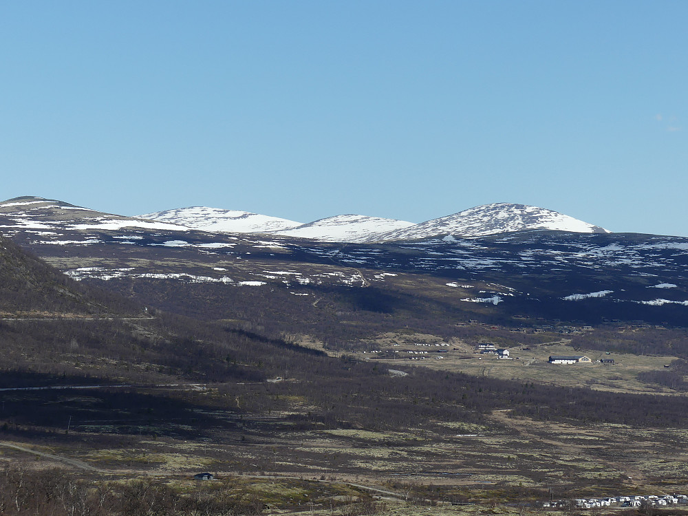 Mot Hjerkinn Fjellstue og Knutshøene.