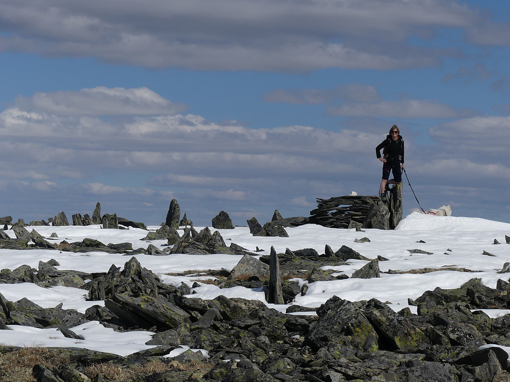 Mye oppstikkende stein på toppen av Avsjøhøe, 1635 moh.