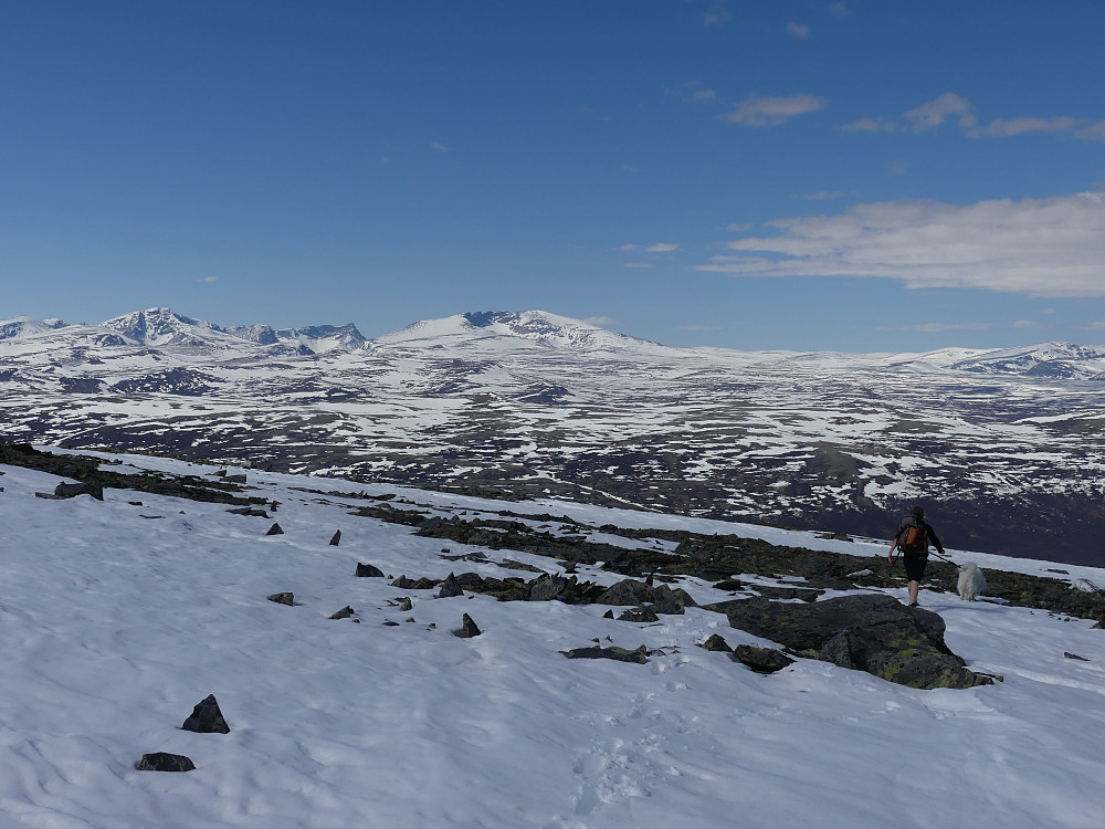 På vei ned igjen via nordøstryggen.