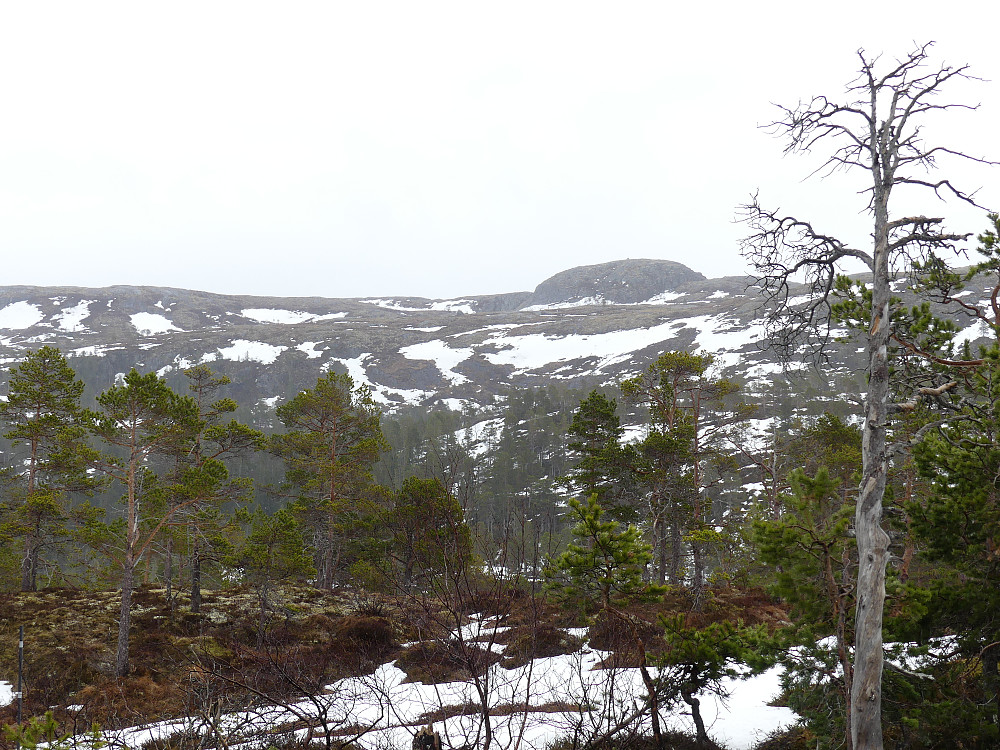Den artige "klumpen" Høylasset som jeg også er oppom, her fra anleggsveien.