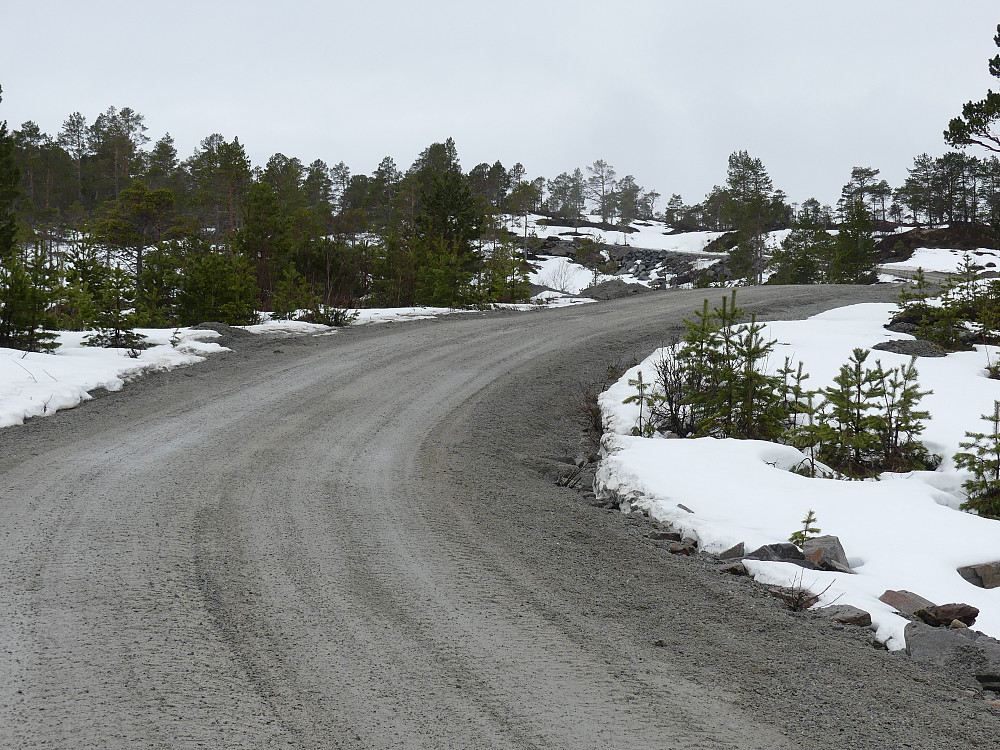 Mye snø i skogen så jeg følger anleggsveien opp forbi steinbruddet.