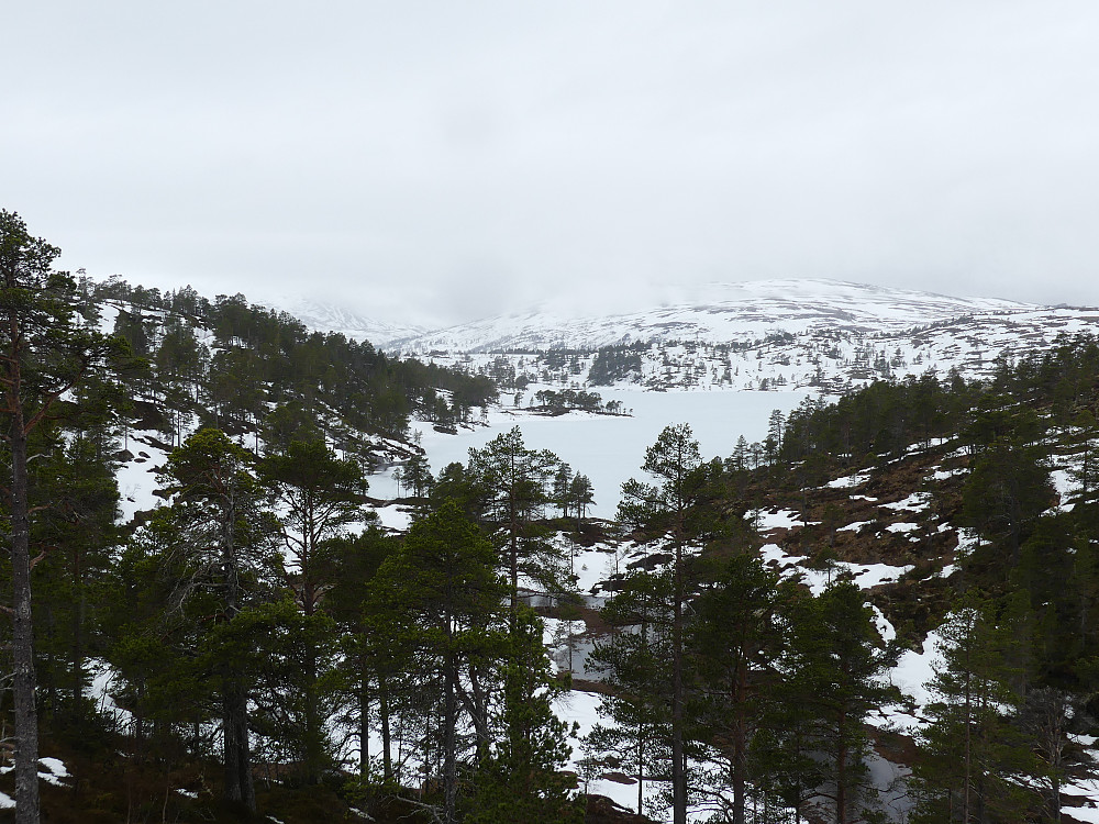 Fra skiferbruddet og mot Sætergardstjenna og Langlidalsheia.
