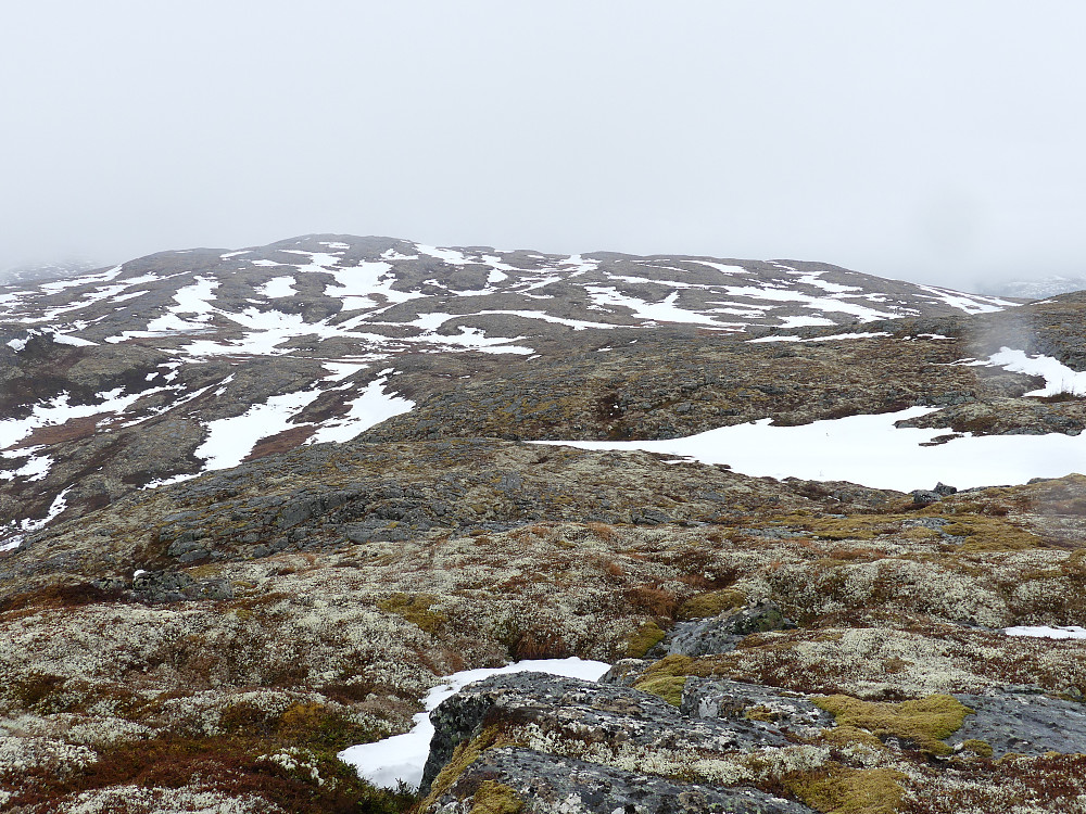 Kokksteinfjellet i nord.