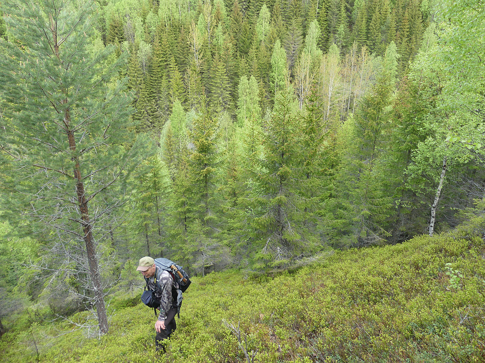 Bratt opp til Jukulen