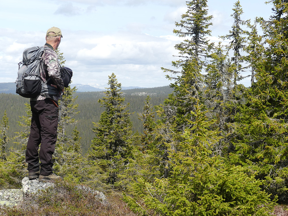 Håkon på Knøsen, 861 moh., med utsikt til Sølen.