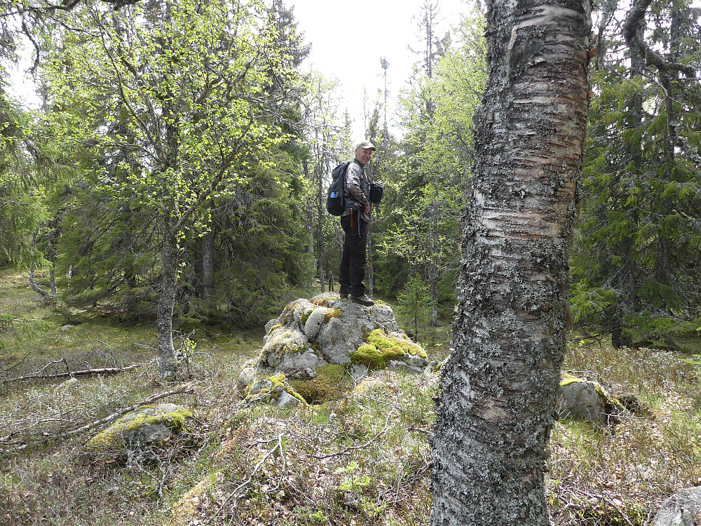 På Søndre Granberget, 762 moh.