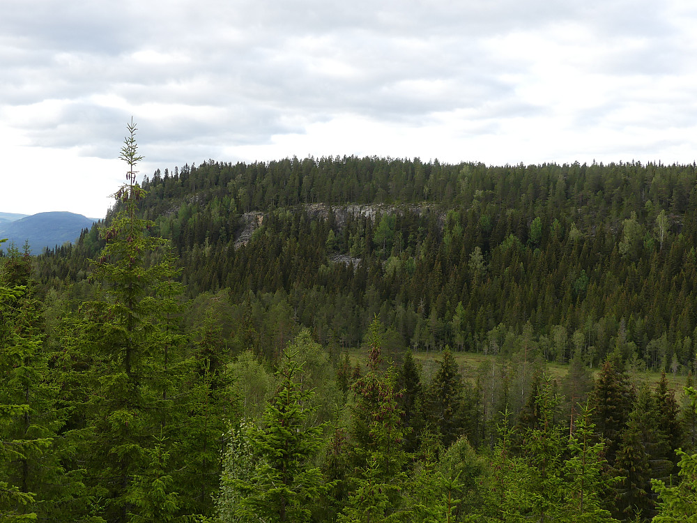 Slik ser Vesteråsen ut fra toppen av Ingridsberget. Merramyra i forgrunnen.