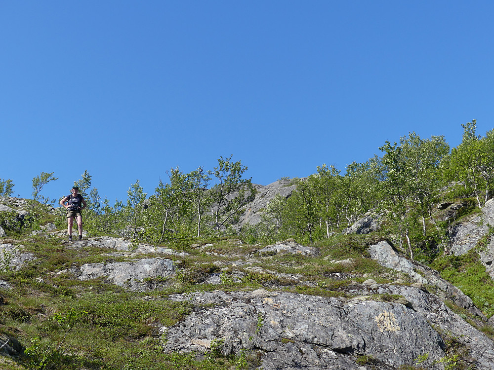 Vi er snart oppe på Fuglfjordfjellet.